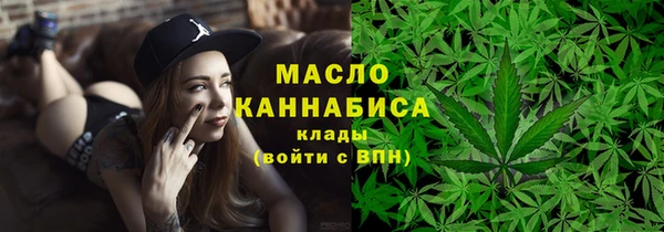 индика Богданович